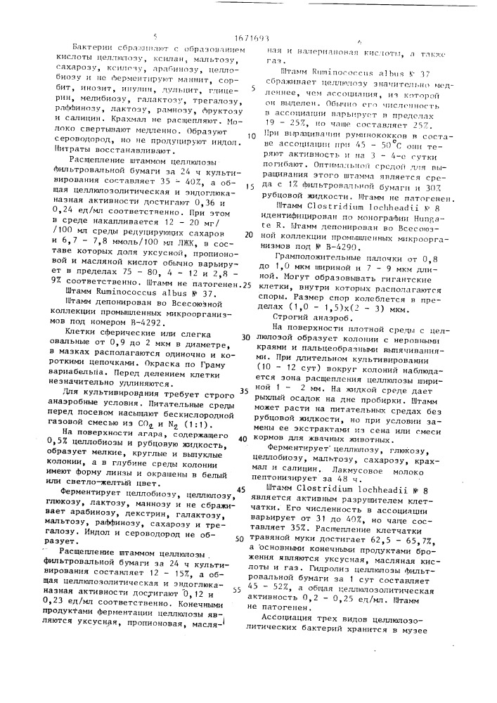 Ассоциация микроорганизмов для скармливания молодняку крупного рогатого скота (патент 1671693)