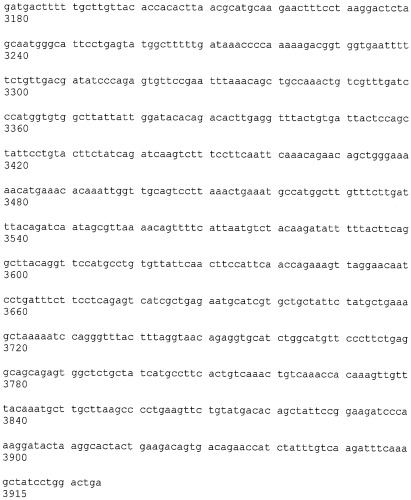 Иммортализованная клеточная линия птиц (патент 2475536)