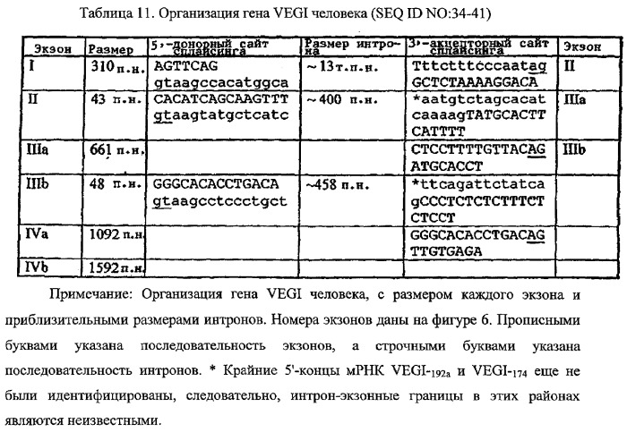 Новые изоформы ингибитора роста васкулярных эндотелиальных клеток (патент 2316591)