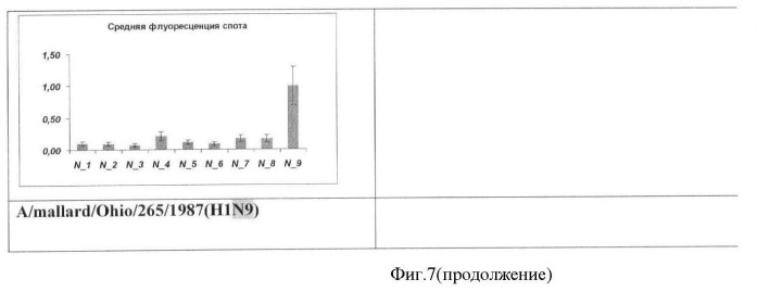 Способ выбора днк-зондов для микрочиповой диагностики, биочип и способ типирования гена нейраминидазы и гемагглютинина вируса гриппа а (патент 2470076)