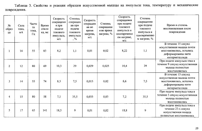 Бионическая конечность и способ ее изготовления (патент 2559417)