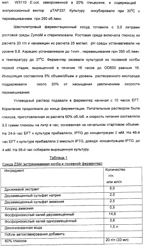 Продуцирование il-21 в прокариотических клетках-хозяевах (патент 2354703)