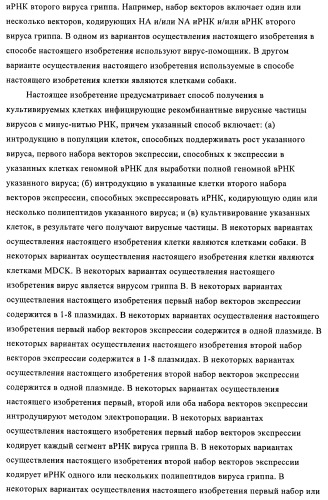 Способы и композиции для экспрессии антисмысловой вирусной рнк в клетках собаки (патент 2457250)