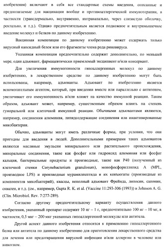 Гипоаллергенный слитый белок, молекула нуклеиновой кислоты, кодирующая его, вектор экспрессии, клетка-хозяин, вакцинная композиция и его применение (патент 2486206)