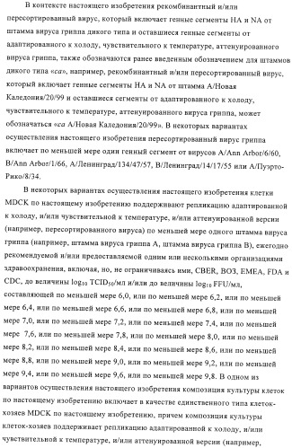 Линии клеток почки собаки майдин-дэрби (mdck), поддерживающие рост вирусов до высоких титров, и способ применения этих клеток в биореакторе (патент 2487935)