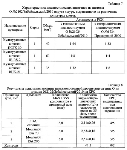 Штамм о №2102/забайкальский/2010 вируса ящура aphtae epizooticae типа о для контроля антигенной и иммуногенной активности противоящурных вакцин и для изготовления биопрепаратов для диагностики и специфической профилактики ящура типа о (патент 2563522)