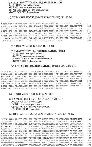 Гемопоэтический белок (варианты), последовательность днк, способ получения гемопоэтического белка, способ селективной экспансии кроветворных клеток, способ продуцирования дендритных клеток, способ стимуляции продуцирования кроветворных клеток у пациента, фармацевтическая композиция, способ лечения (патент 2245887)