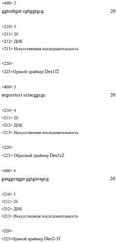 Набор синтетических олигонуклеотидов для определения нуклеотидной последовательности кодирующей части гена des и выявления мутаций, ассоциированных с десминовыми кардиомиопатиями (патент 2556832)