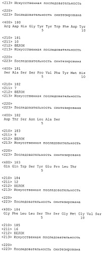 Антитела против bv8 и их применение (патент 2559542)