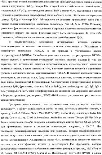 Моноклональные антитела против nkg2a (патент 2481356)