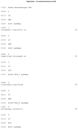Рекомбинантная плазмида psvh0106, обеспечивающая синтез gl7aca-ацилазы в клетках escherichia coli, и рекомбинантный штамм escherichia coli bl21(de3)/psvh0106-продуцент gl7aca-ацилазы (патент 2300566)
