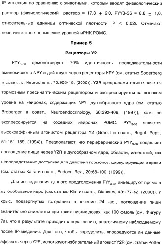 Способ модификации пищевого поведения и применение pyy или его агониста в качестве средства для модификации пищевого поведения (патент 2317104)