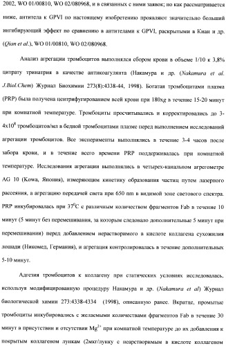 Антитела к гликопротеину vi и способы продуцирования и использования этих антител (патент 2407752)