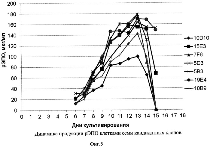 Синтетическая днк, кодирующая эритропоэтин человека, содержащий её вектор, способ получения штамма-продуцента эритропоэтина, штамм-продуцент эритропоэтина (патент 2548806)