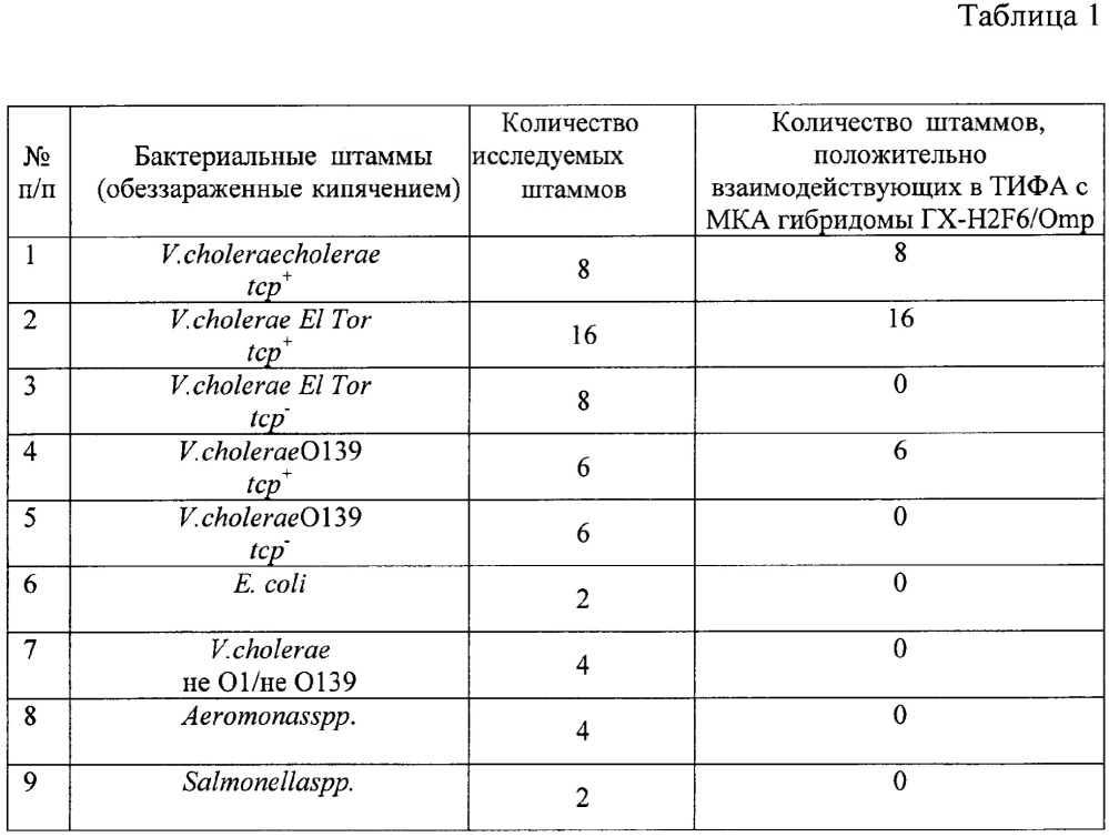 Штамм культивируемых гибридных клеток животного mus musculus-продуцент моноклонального антитела к мембранному белку, общему для тср+ штаммов холерных вибрионов о1 и о139 серогрупп (патент 2663003)