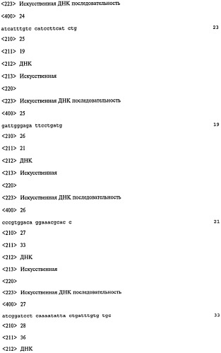 Микроорганизм-носитель нуклеотидных последовательностей, кодирующих антигены и белковые токсины (патент 2447145)