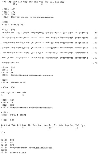 Psma×cd3 биспецифическое одноцепочечное антитело с межвидовой специфичностью (патент 2559531)