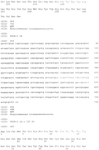 Pscaxcd3, cd19xcd3, c-metxcd3, эндосиалинxcd3, epcamxcd3, igf-1rxcd3 или fap-альфаxcd3 биспецифическое одноцепочечное антитело с межвидовой специфичностью (патент 2547600)