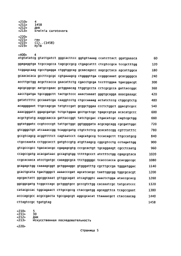 Микроорганизмы corynebacterium, способные утилизировать ксилозу, и способ получения l-лизина с применением таких микроорганизмов (патент 2584593)