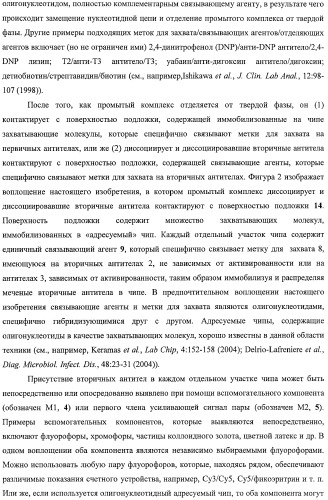 Чипы на основе антител для определения множественных трансдукторов сигналов в редких циркулирующих клетках (патент 2442171)