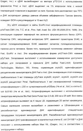 Выделенный полипептид, обладающий антивирусной активностью (варианты), кодирующий его полинуклеотид (варианты), экспрессирующий вектор, рекомбинантная клетка-хозяин, способ получения полипептида, антитело, специфичное к полипептиду, и фармацевтическая композиция, содержащая полипептид (патент 2321594)