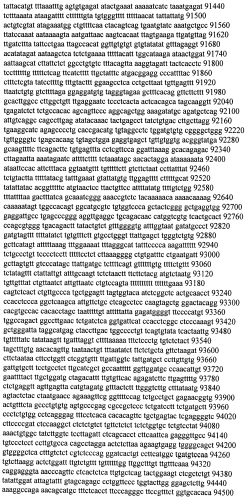 Модуляция экспрессии гентингтина (патент 2562861)