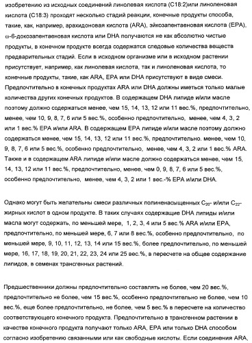 Способ получения полиненасыщенных жирных кислот в трансгенных растениях (патент 2449007)