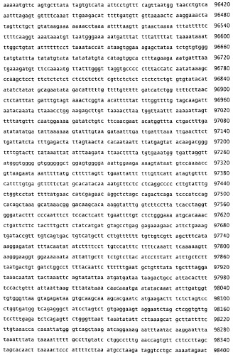 Применение s1p (патент 2362565)