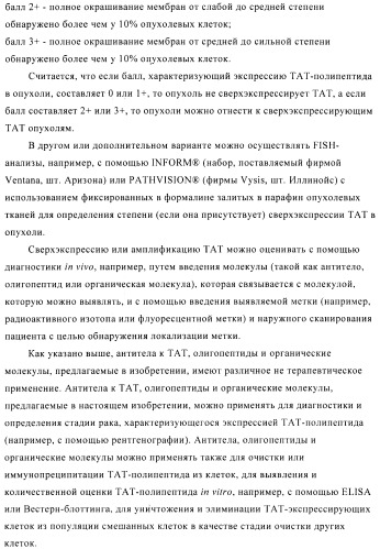 Композиции и способы диагностики и лечения опухоли (патент 2423382)