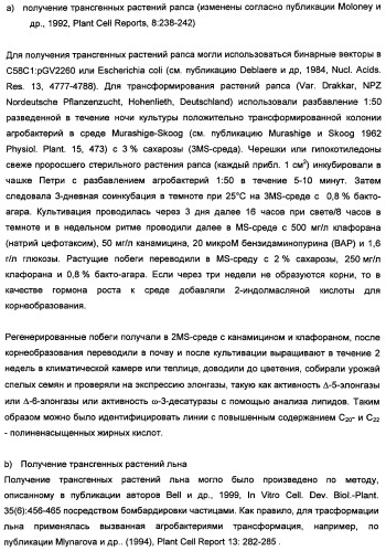 Способ получения полиненасыщенных кислот жирного ряда в трансгенных организмах (патент 2447147)