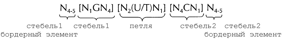 Искусственные молекулы нуклеиновых кислот для улучшенной экспрессии белков или пептидов (патент 2658490)