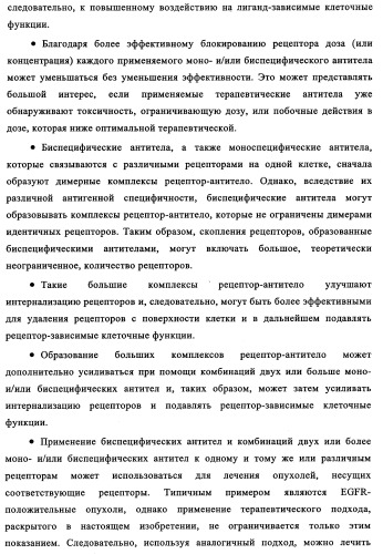 Биспецифические антитела к erb-b и их применение для лечения опухолей (патент 2349340)