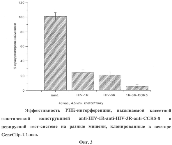 Кассетная генетическая конструкция, экспрессирующая две биологически активные siphk, эффективно атакующие транскрипты вич-1 субтипа а у больных в россии, направленные на мphk обратной транскритазы и интегразы, и одну siphk, направленную на мphk гена ccr5 (патент 2552486)