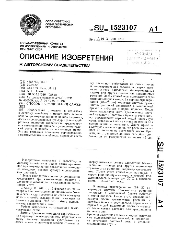 Способ выращивания саженцев (патент 1523107)