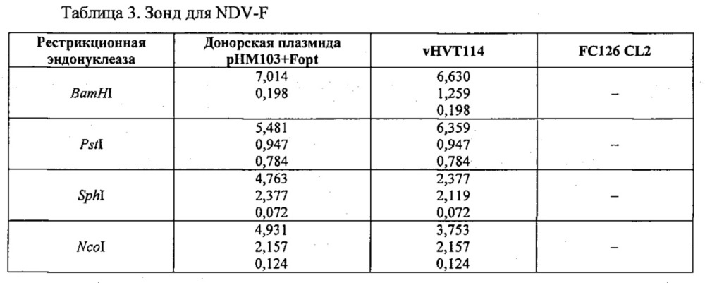 Рекомбинантные векторы hvt, экспрессирующие антигены патогенов птиц и их применение (патент 2620936)