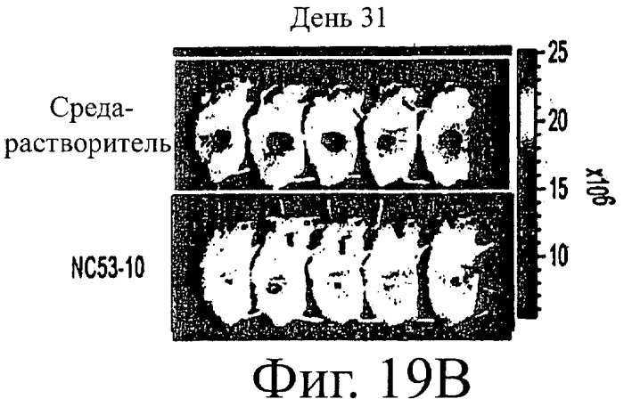 Диарилтиогидантоиновые соединения (патент 2449993)