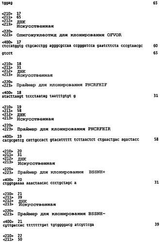 Векторы на основе рекомбинантных вирусов отряда mononegavirales (патент 2435857)