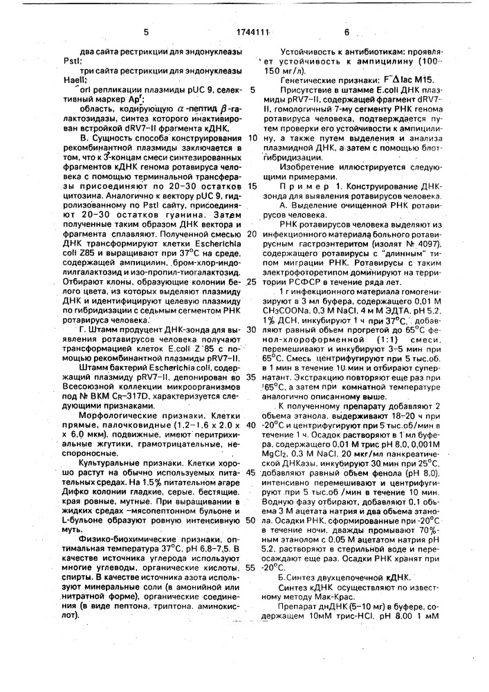 Рекомбинантная плазмидная днк @ rv7-ii, содержащая фрагмент @ rv7-ii для выявления ротавирусов человека, и штамм бактерий еsснеriснiа coli - продуцент фрагмента @ rv7-ii для выявления ротавирусов человека (патент 1744111)