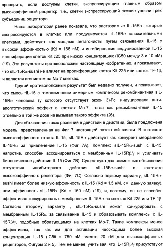 Соединение, предназначенное для стимуляции пути передачи сигнала через il-15rбета/гамма, с целью индуцировать и/или стимулировать активацию и/или пролиферацию il-15rбета/гамма-положительных клеток, таких как nk-и/или t-клетки, нуклеиновая кислота, кодирующая соединение, вектор экспрессии, клетка-хозяин, адъювант для иммунотерапевтической композиции, фармацевтическая композиция и лекарственное средство для лечения состояния или заболевания, при котором желательно повышение активности il-15, способ in vitro индукции и/или стимуляции пролиферации и/или активации il-15rбета/гамма-положительных клеток и способ получения in vitro активированных nk-и/или t-клеток (патент 2454463)