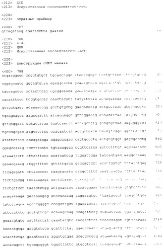 Pscaxcd3, cd19xcd3, c-metxcd3, эндосиалинxcd3, epcamxcd3, igf-1rxcd3 или fap-альфаxcd3 биспецифическое одноцепочечное антитело с межвидовой специфичностью (патент 2547600)