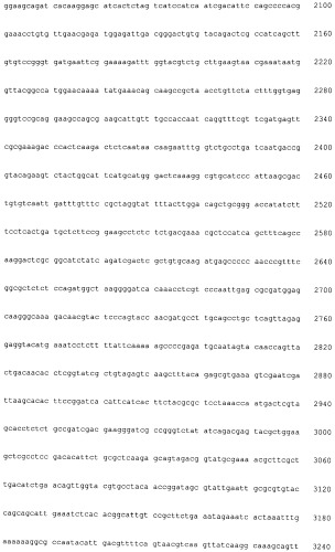 Нуклеиноваяя кислота, обладающая активностью гена фосфатазы фосфатидной кислоты (варианты), белок, рекомбинантный вектор, трансформант и способ получения композиции жирной кислоты (патент 2528875)
