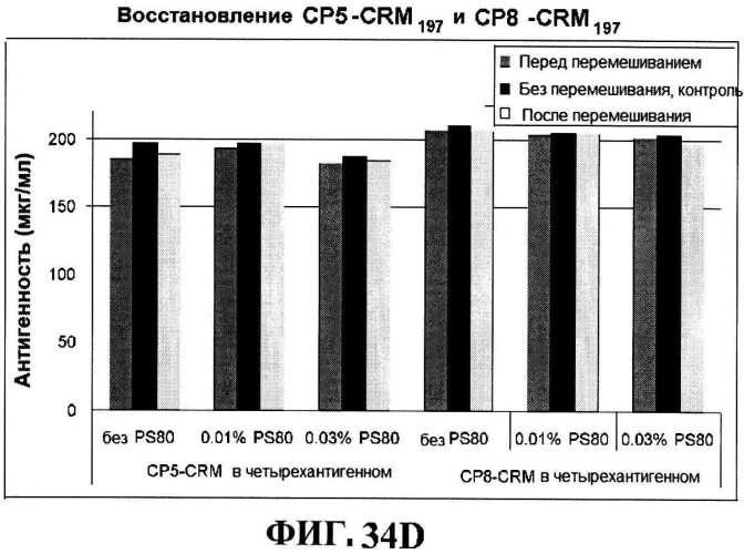 Стабильные иммуногенные композиции антигенов staphylococcus aureus (патент 2570730)