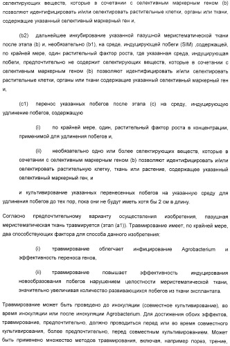 Улучшенная трансформация сои (патент 2389797)