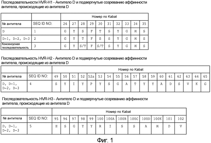Антитела против notch2 и способы их применения (патент 2580029)