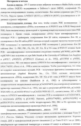 Выделенный рекомбинантный вирус гриппа и способы его получения (патент 2351651)