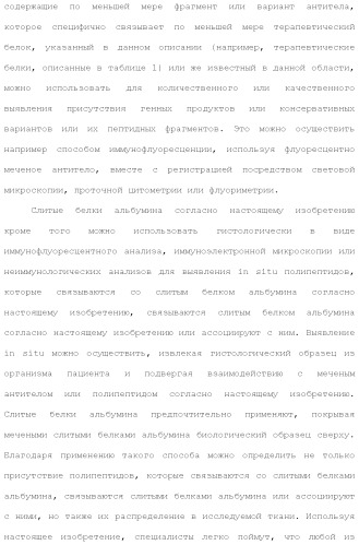 Слитые белки альбумина (патент 2369404)