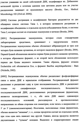 Иммуногенная композиция и способ разработки вакцины, основанной на участках матричного белка вич (патент 2403915)