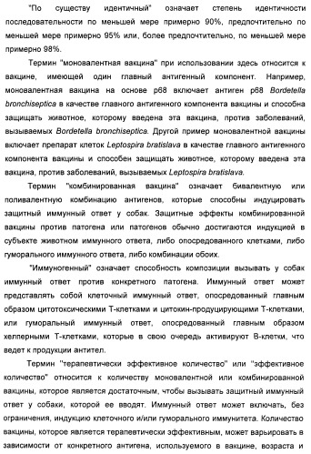 Поливалентные вакцины для собак против leptospira bratislava и других патогенов (патент 2400248)