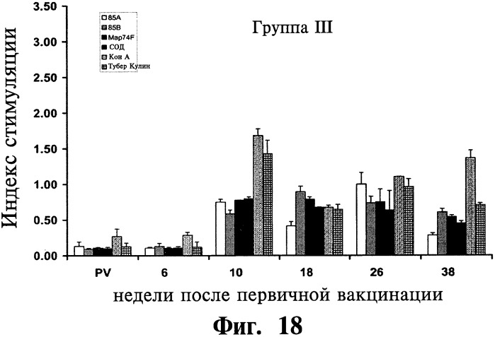 Фармацевтическая композиция и способ стимулирования иммунного ответа к мусоbacterium avium подвида paratuberculosis (патент 2489165)