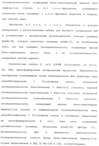 Клетка-хозяин trichoderma reesei для получения целлюлолитической белковой композиции, целлюлолитическая белковая композиция, способы ее получения и применения (патент 2494146)
